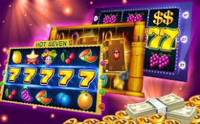wynn71